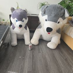 Plush Husky  Dogs