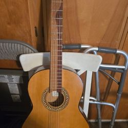 Acoustic Guitar $60