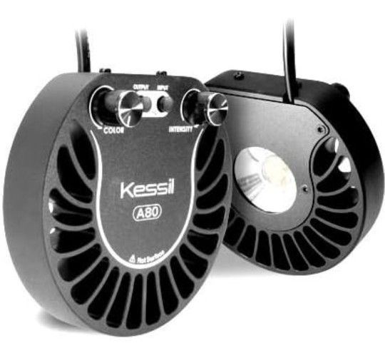 Kessil Tuna Blue A80 LED Light KSA80-TB