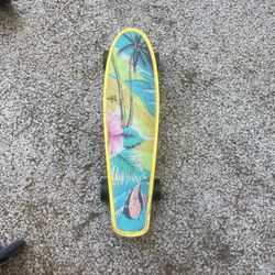 Skate Board