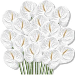 20 Pcs Artificial Anthurium Flowers 23.6 Inch, White
Faux Anthurium Flowers for Wedding Vase DIY Bouquets Table Centerpiece Arrangements Bridal Shower
