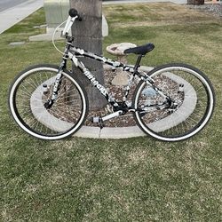 700$ D-block 29in Bike