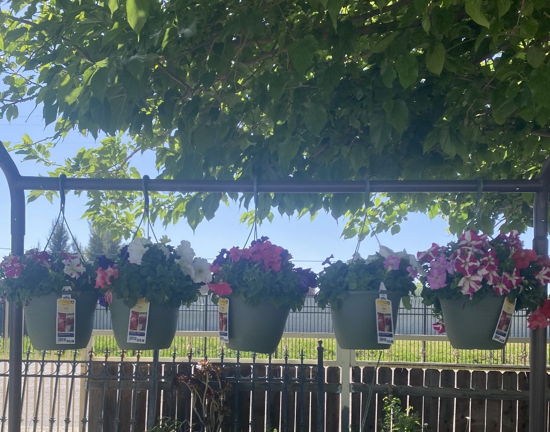 Hanging Flower Arrangements