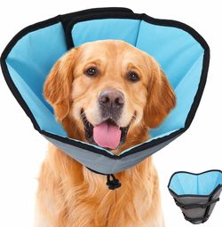 FREE Dog Recovery Cone 🐶