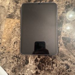 iPad Mini