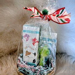 Kids Dental Gift Set