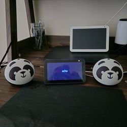 Children Panda Alexa bundle 