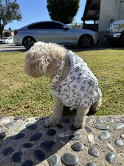 New LV dog Wind Breaker 