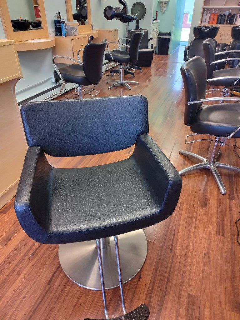 Salon Chair