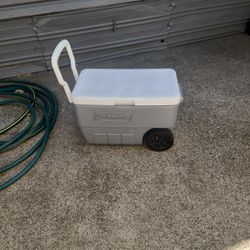 Coleman Cooler 
