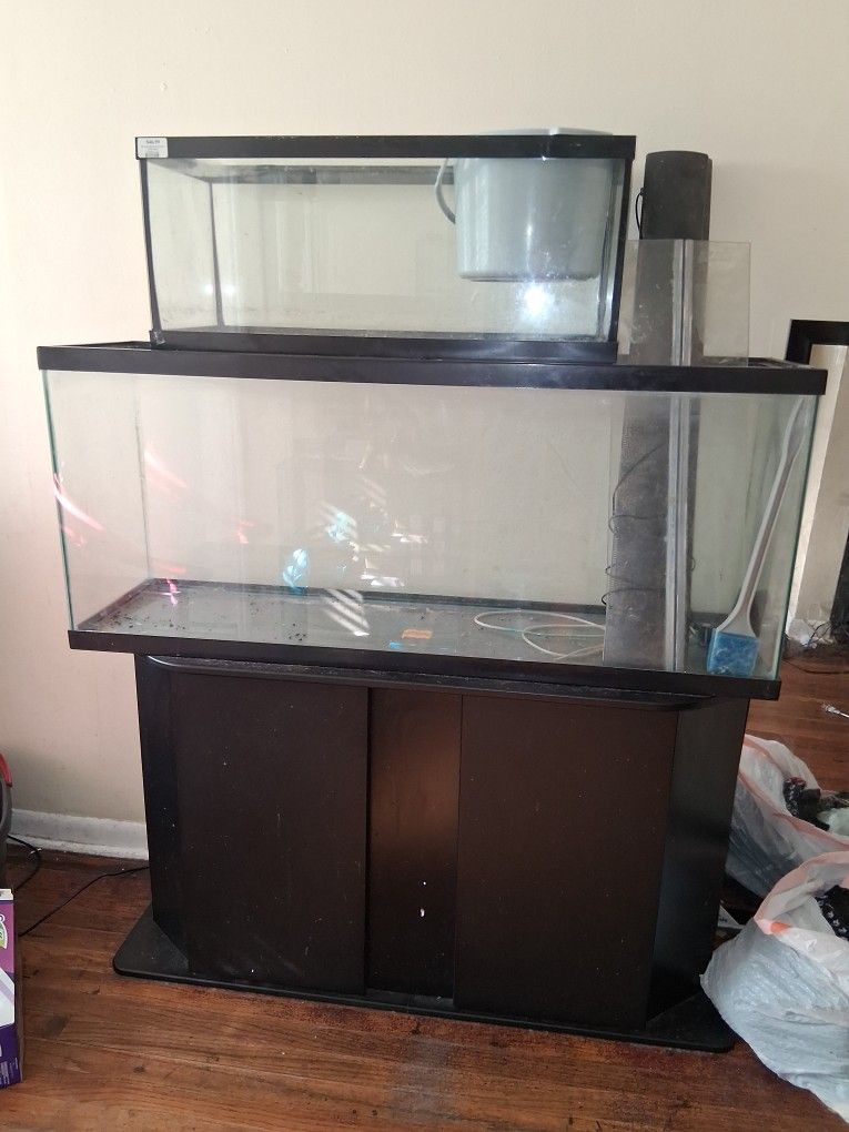 Fish Tanks 55 gallons And 20 Gallons With Stans