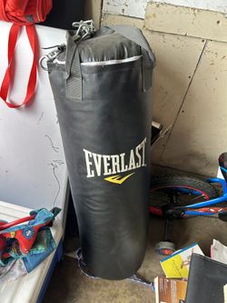 Everlast Heavy Bag 