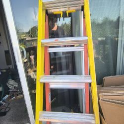 Werner Leansafe X3 Ladder