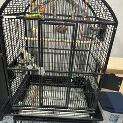 BIRD CAGE