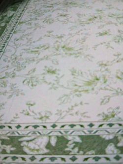BRAND NEW 12x9 Area Rug in original packaging