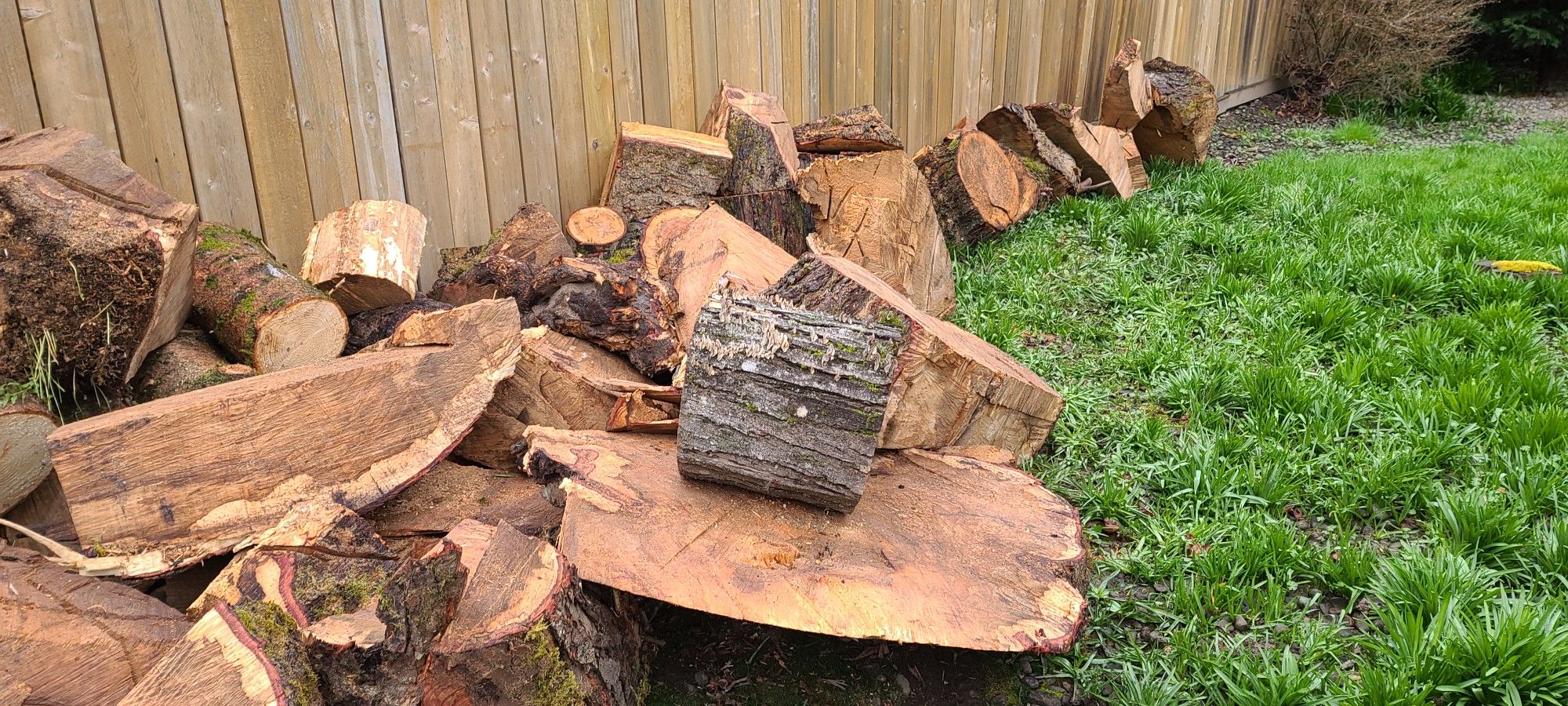 Free Firewood