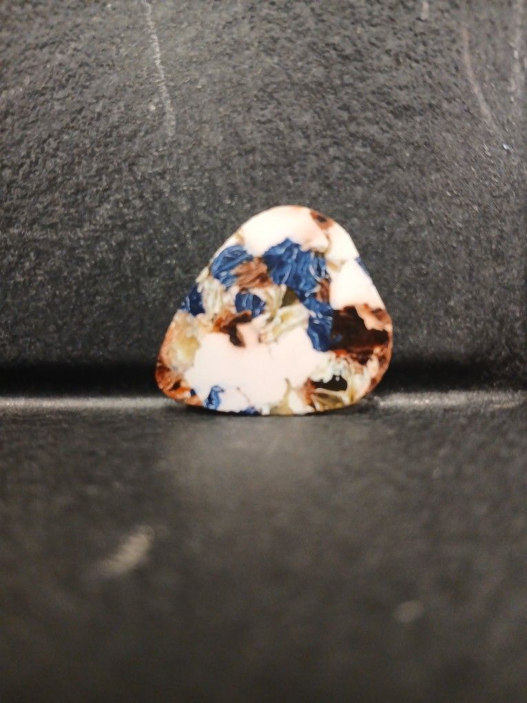 guitar pick [worth 3$]