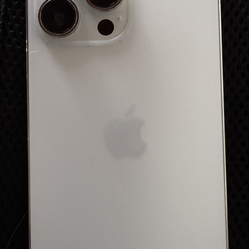 iPhone 14 Pro Max Silver 256GB