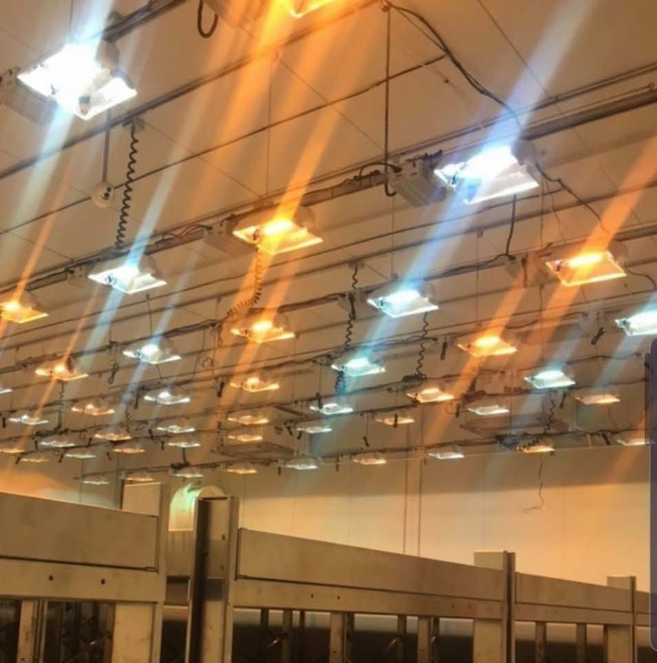 Luxx, Dimlux, Gavita, Ares, E-Papillon 1000w Grow Lights