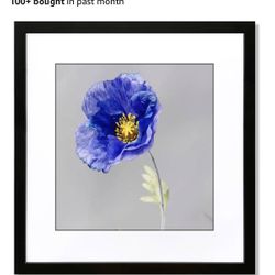 24x24 Frame Black