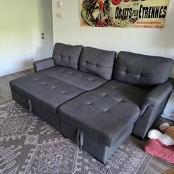 Sectional Sleeper Couch