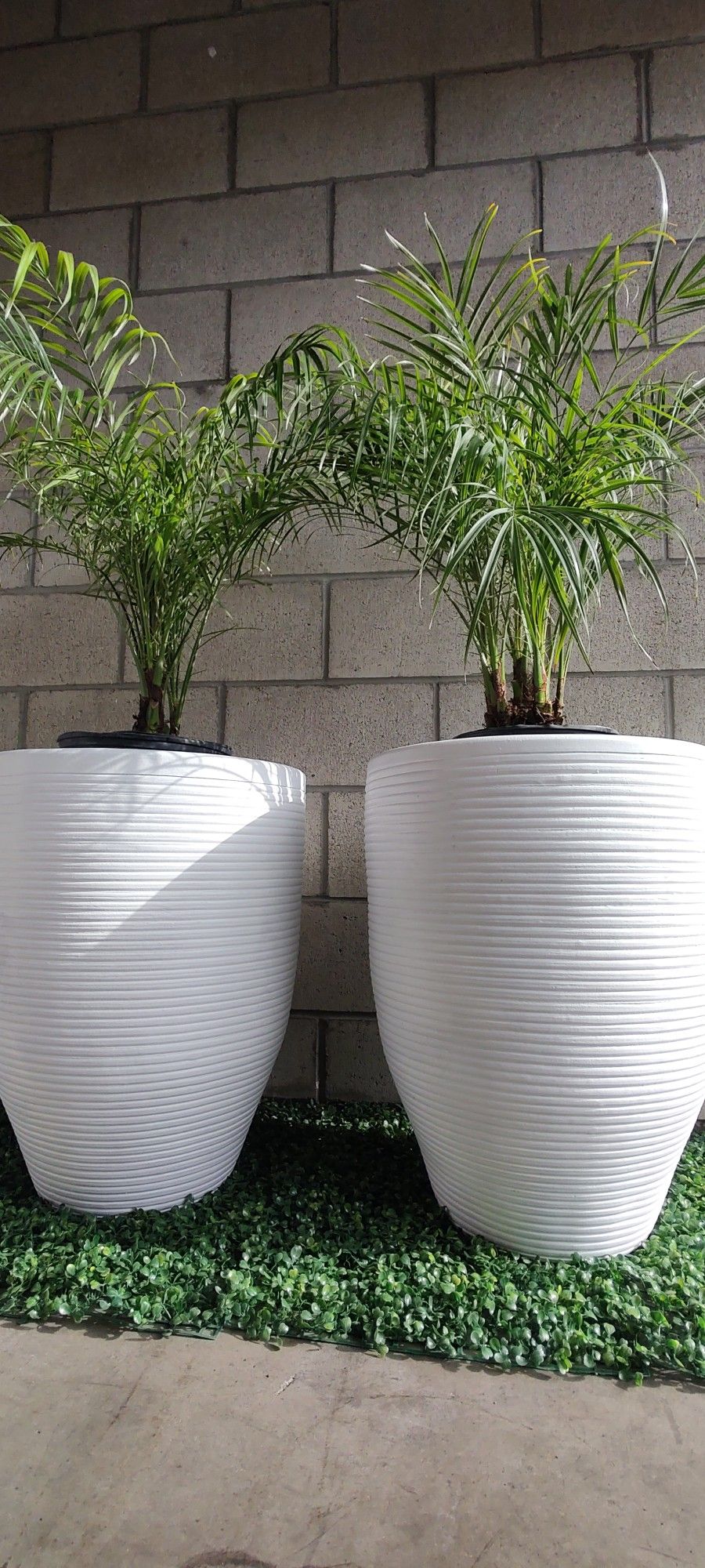 Large Terracota Planters Free Delivery In SD