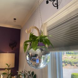 Disco Planter With Plant 
