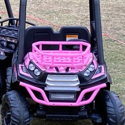 Realtree (Pink Camouflage) UTV 24V Ride-on