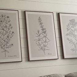 Cavas Prints Trio 