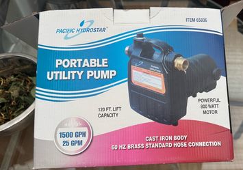 Portable utility pump