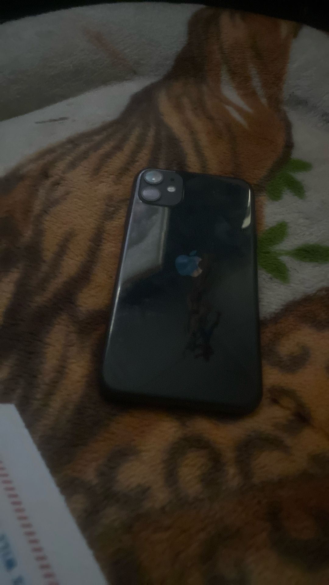 Black IPhone 11