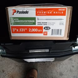 Pasload 3"×.131 Ga)vinized Framing Nails