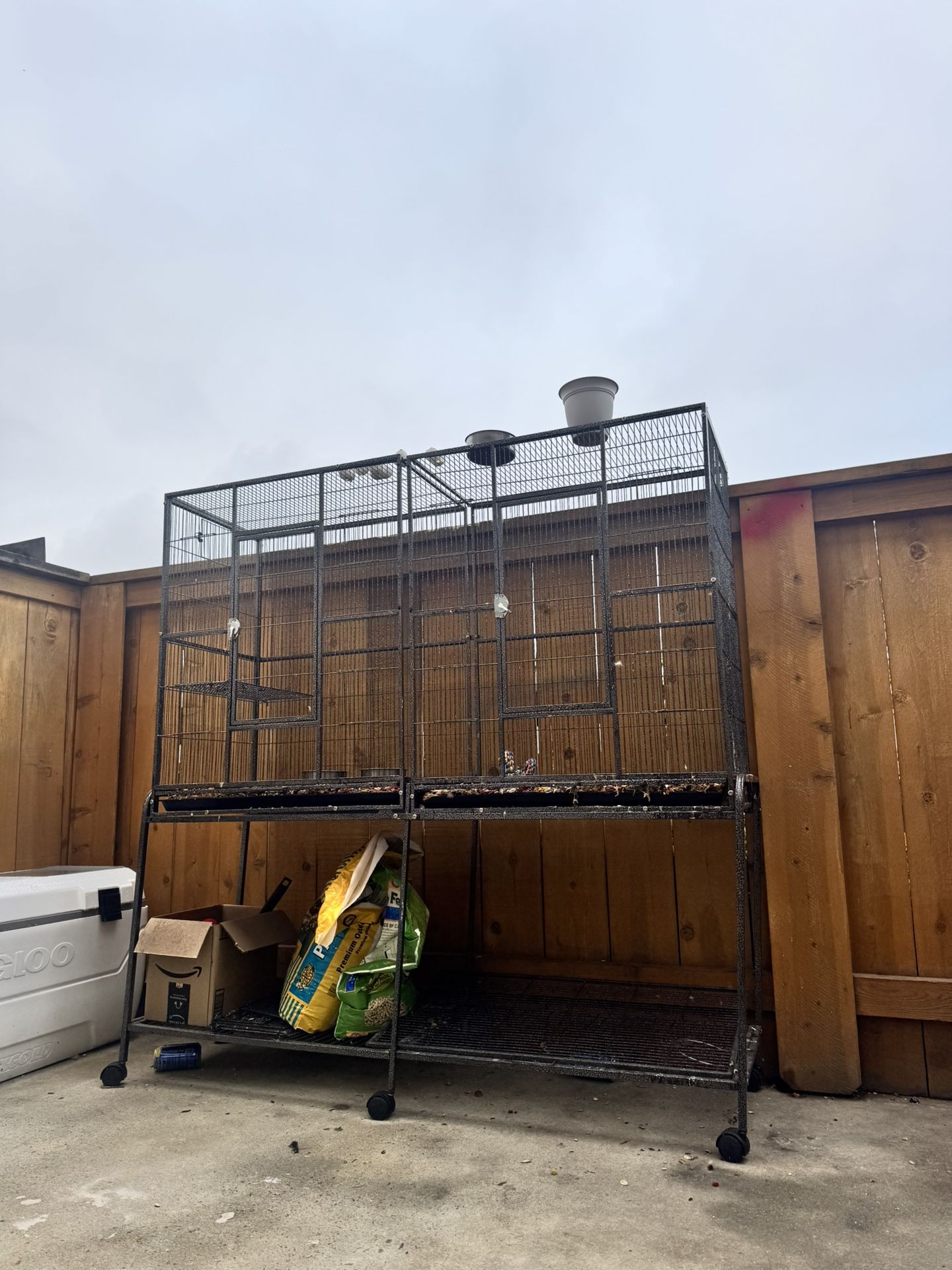 Bird Cage