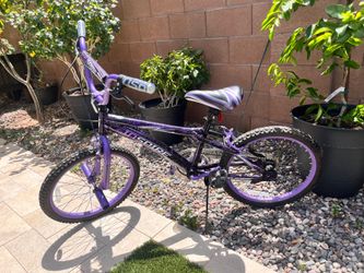 Genesis 20” BMX bike