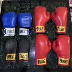 Everlast Boxing Gloves Price Is For All 4