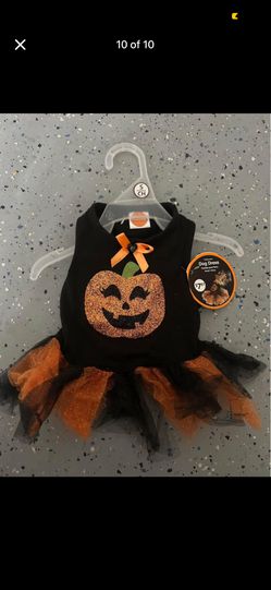 Pumpkin Halloween Dress 🐕 