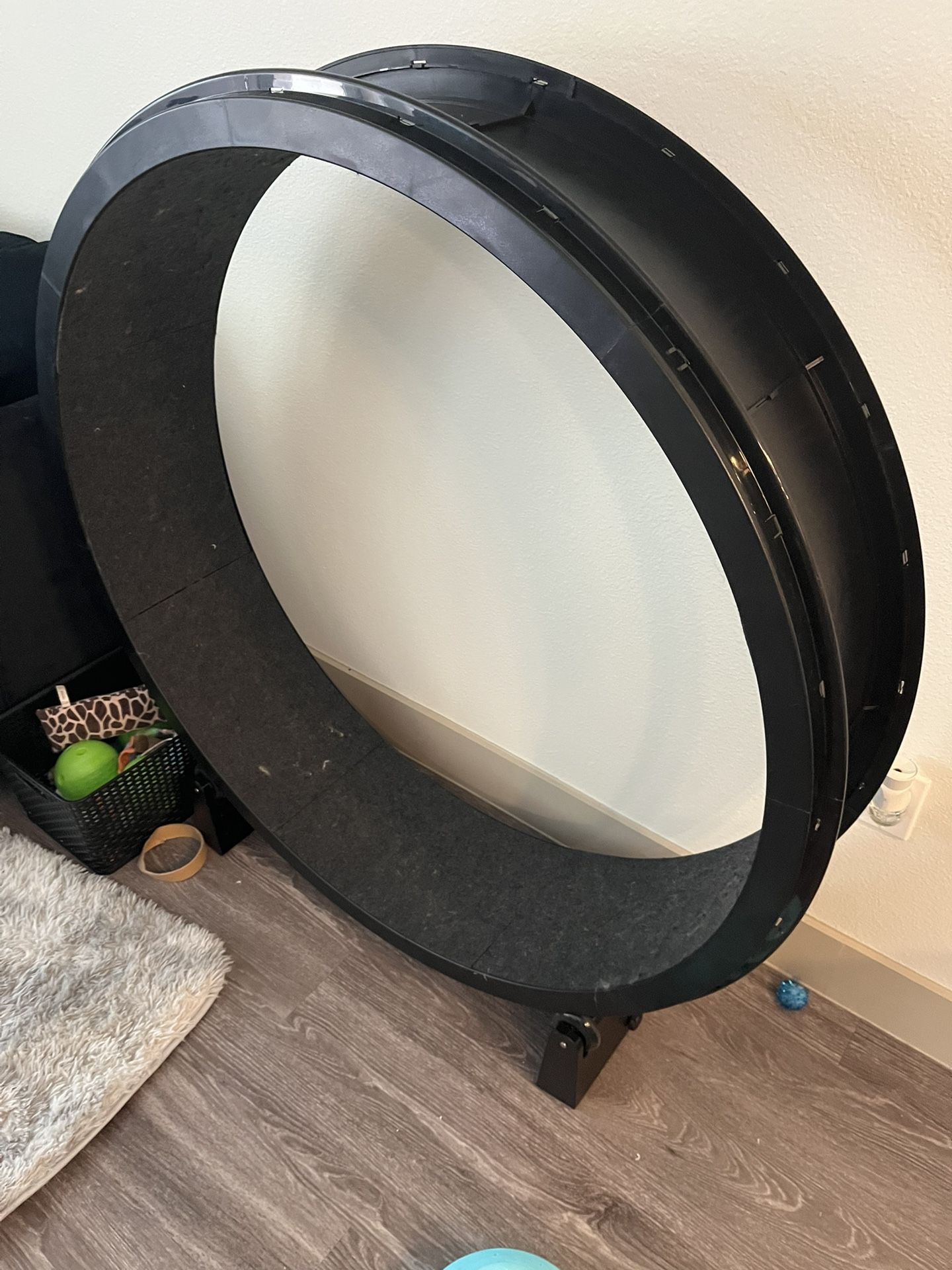 Cat Exercise Wheel