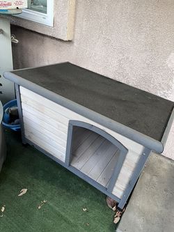 Dog House