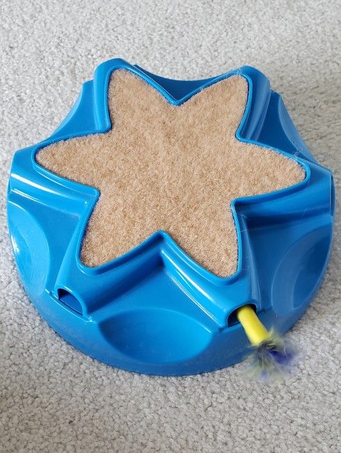 Cat Toy
