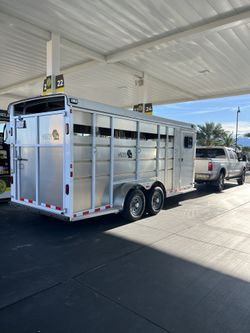 Livestock Horse Transportation