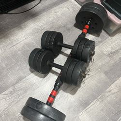 Bar & Dumbbells 💪🏼 