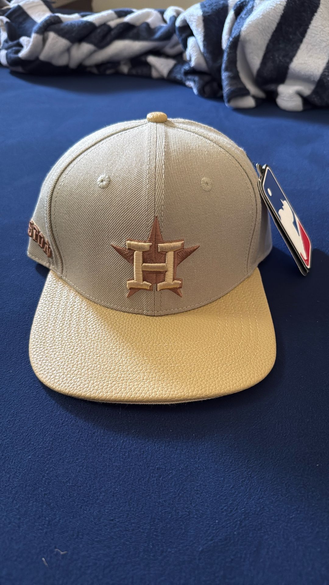 Astros Snap Back 