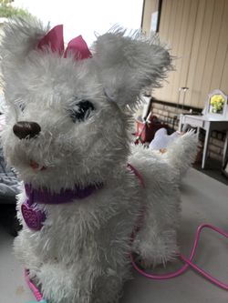Perrito  