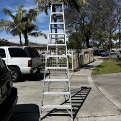 Ladder 10 Feet 