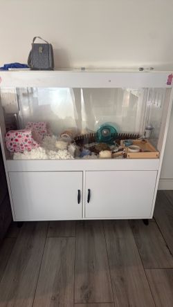 Hamster/ Reptile enclosure