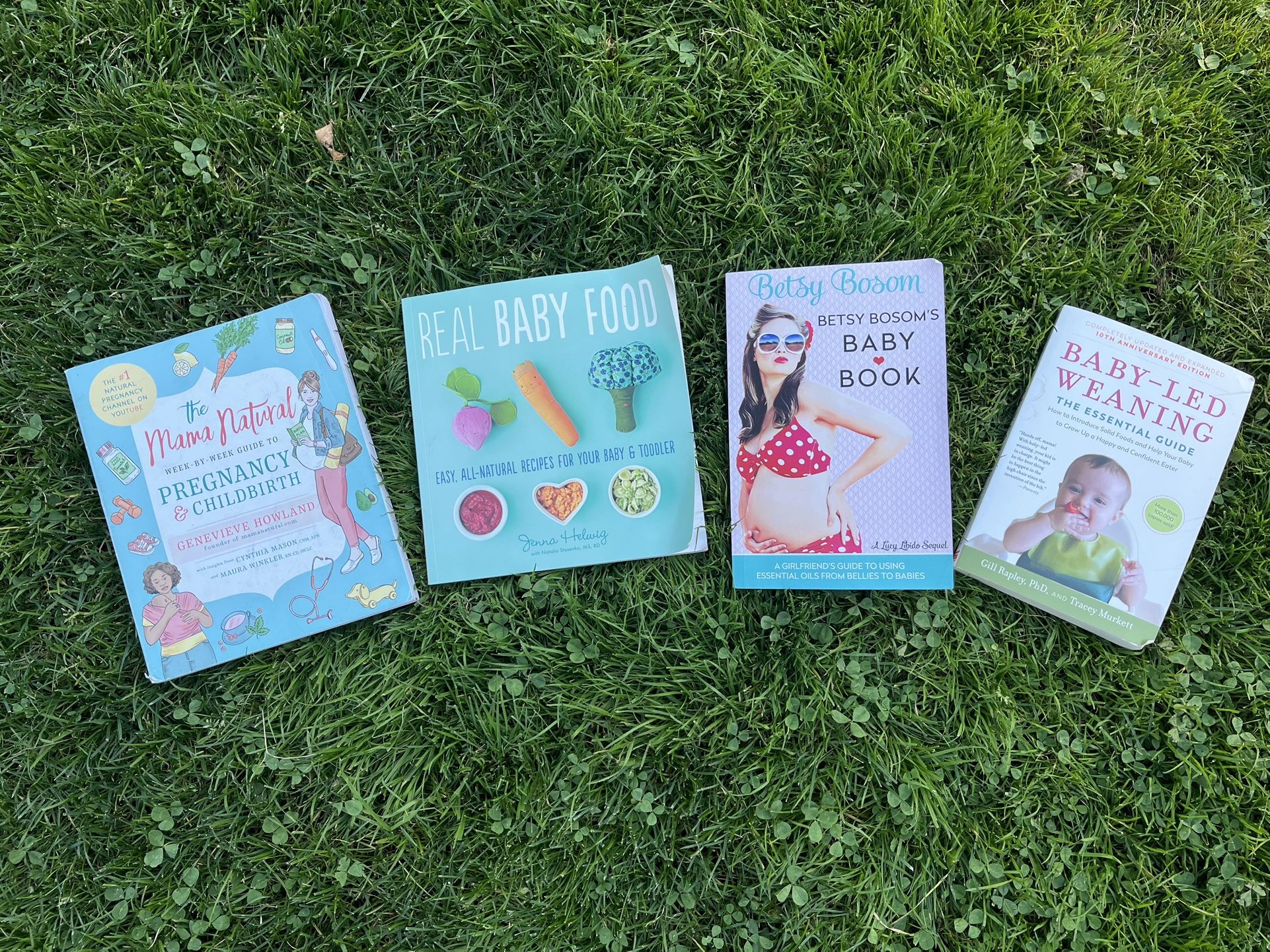 Pregnancy And Baby Books