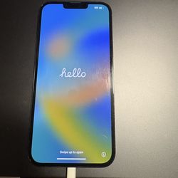 IPhone 13 Pro Max/Never Used