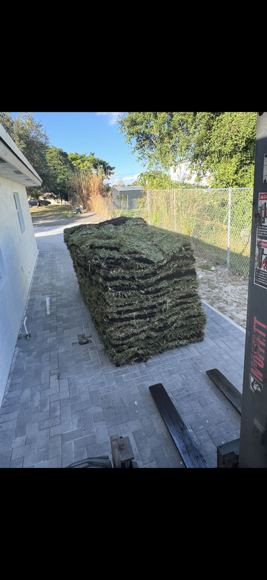 Palmetto Sod 