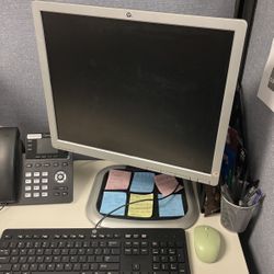 Misc Computer Monitors 