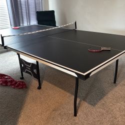 Ping-Pong Table 